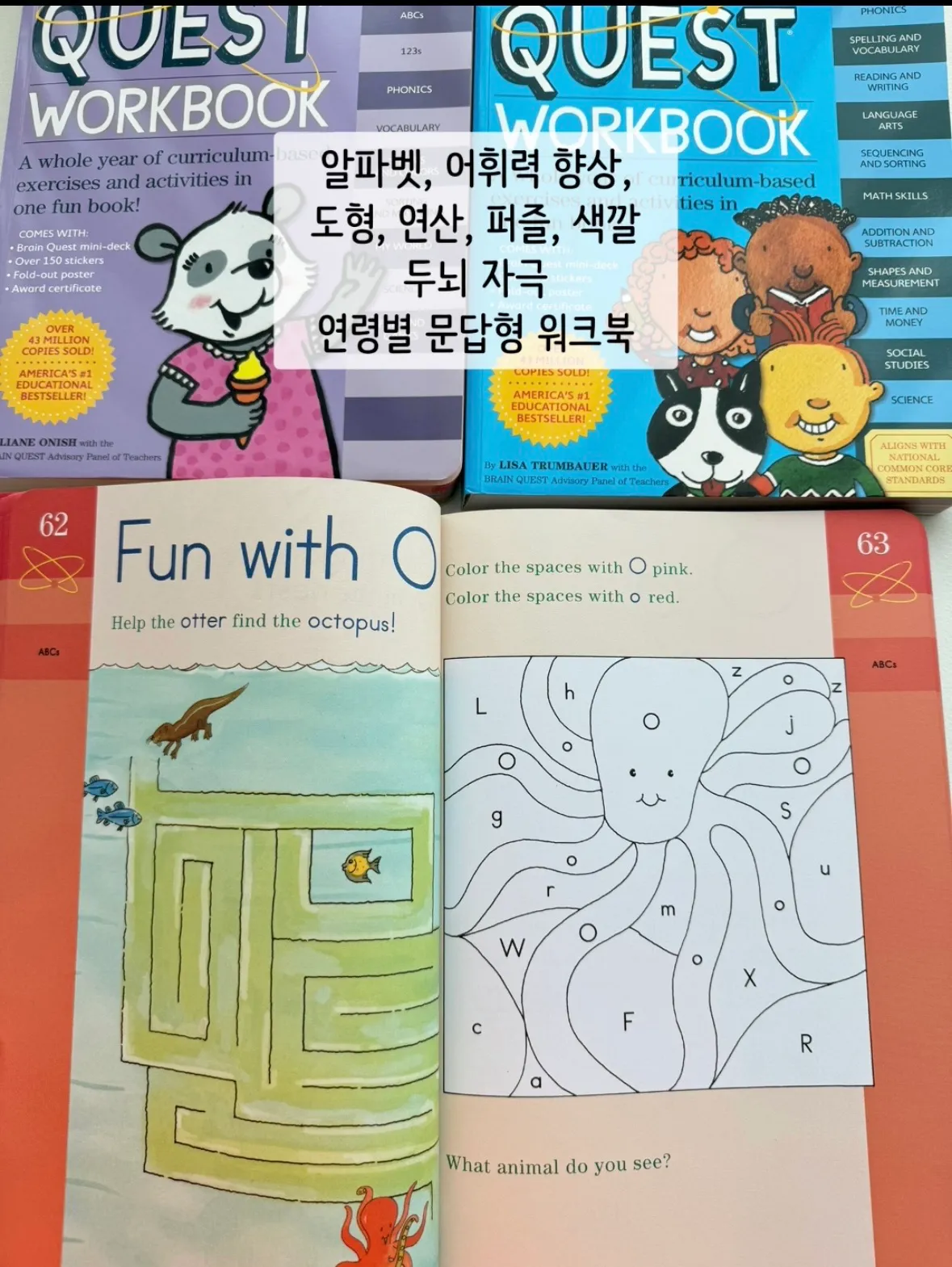 이미지 8