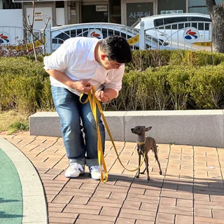 몰리&망고 교육