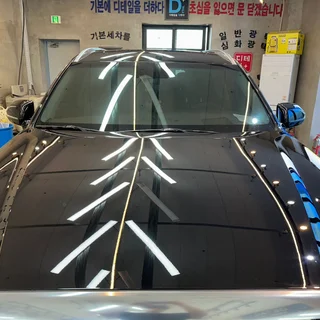팰리세이드 디테일링세차