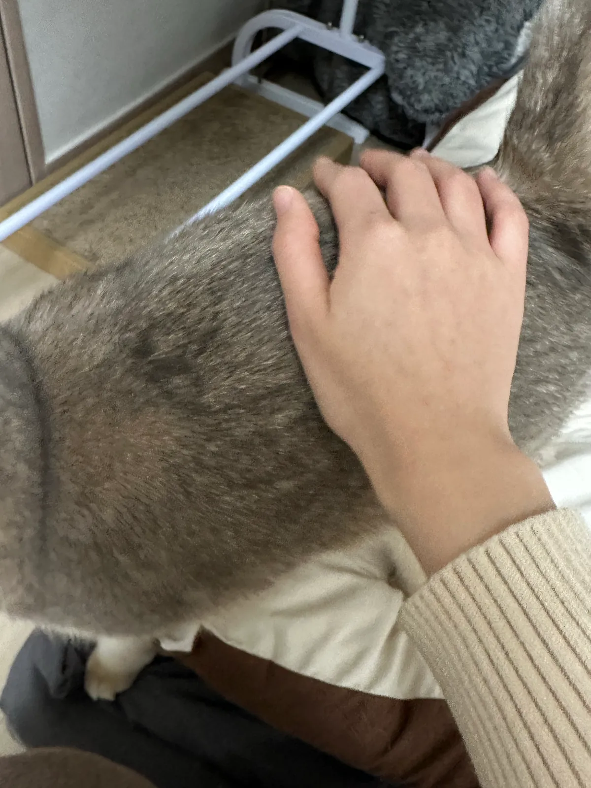 이미지 5