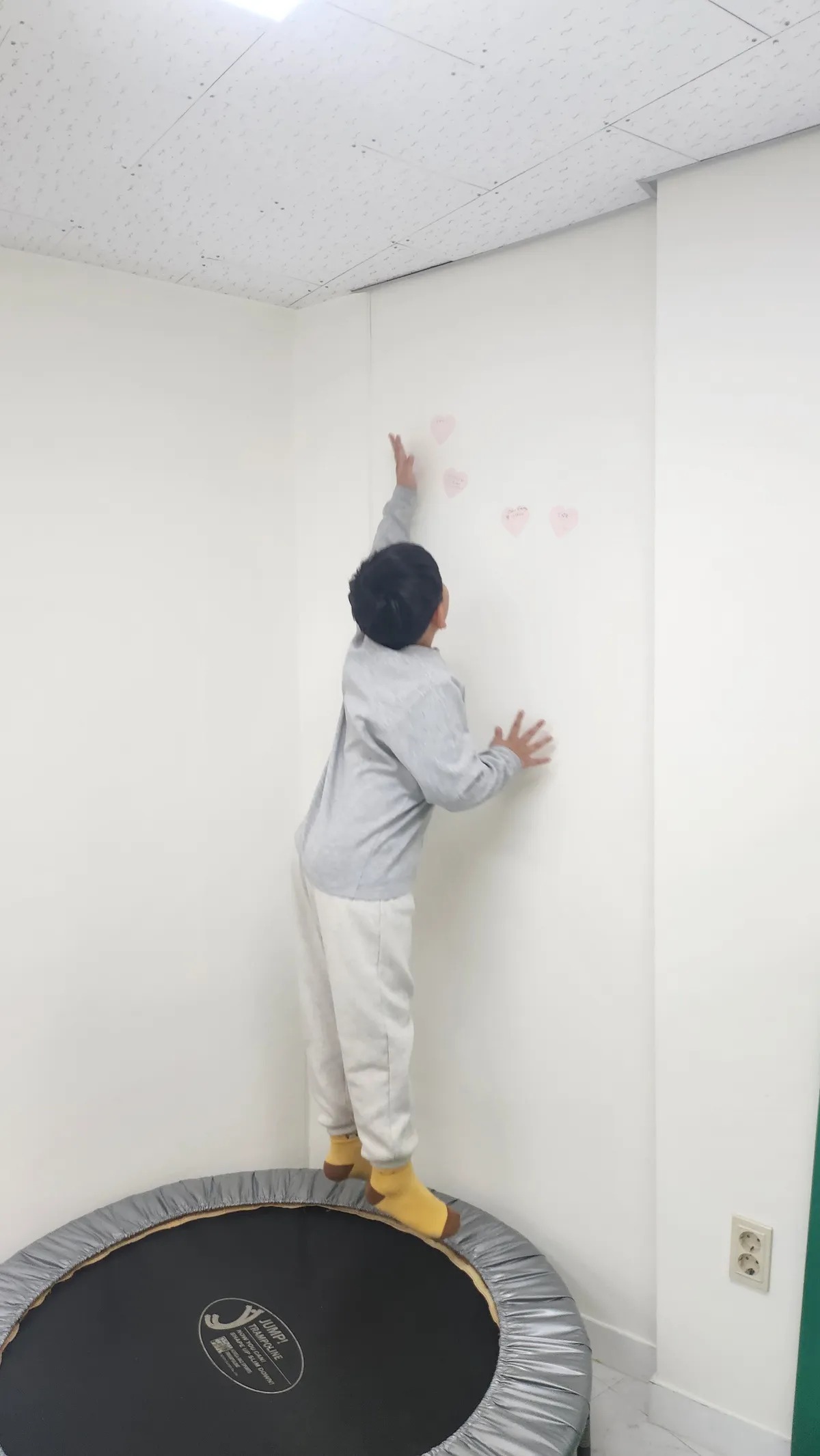 이미지 5
