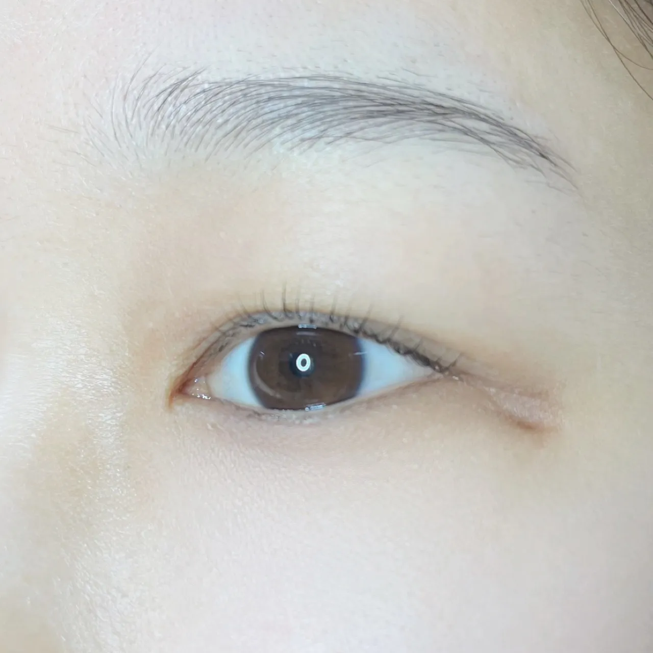 이미지 4