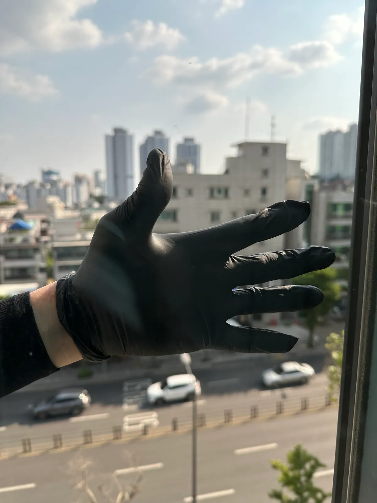 이미지 8
