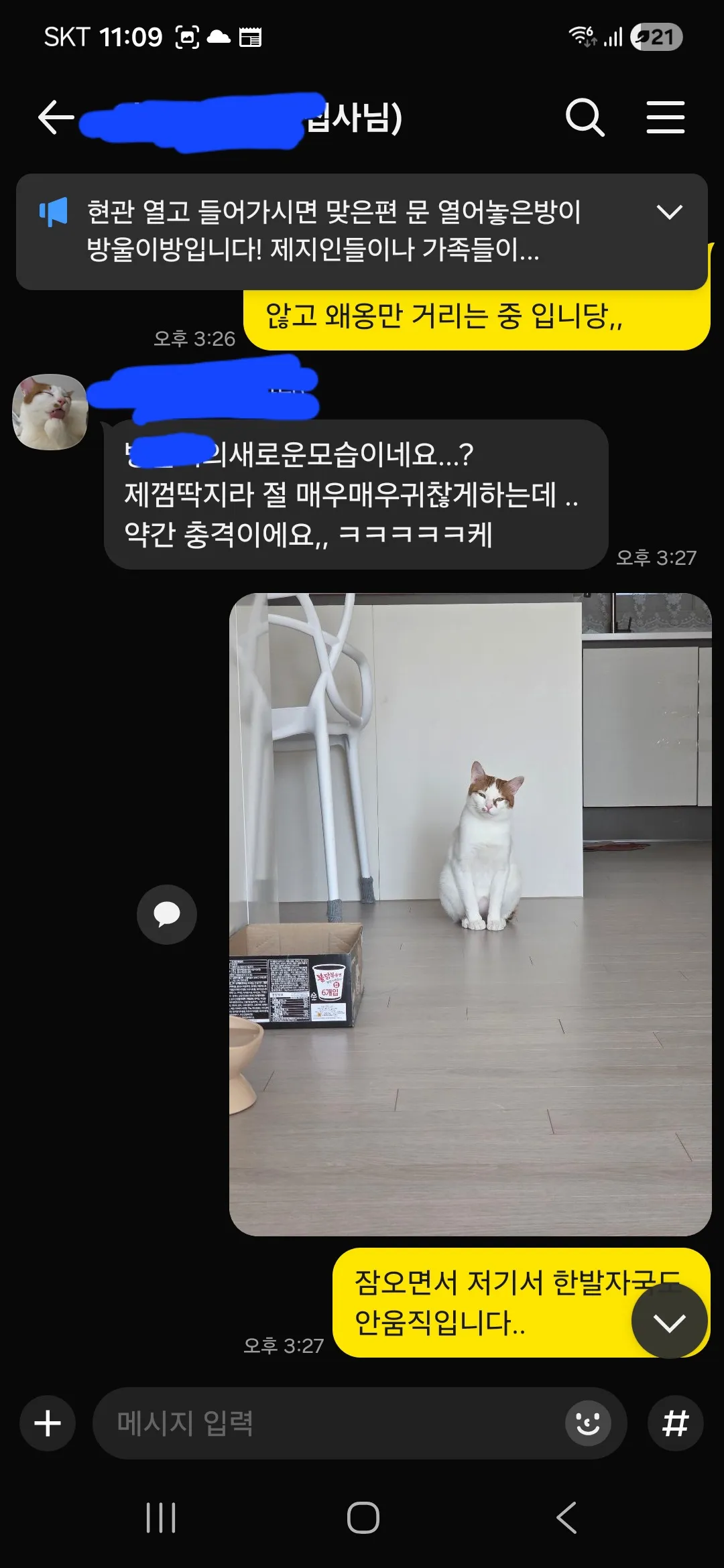 이미지 8