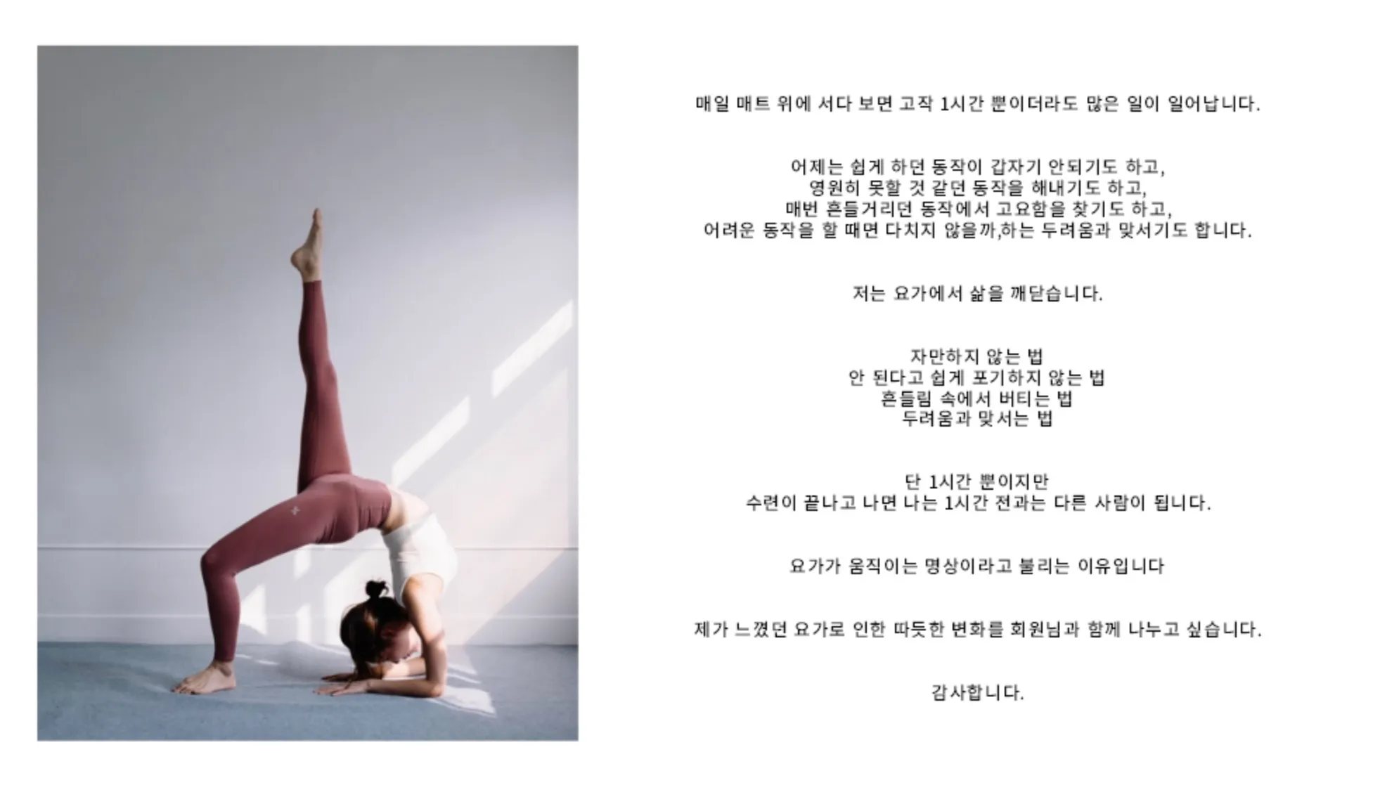 이미지 5