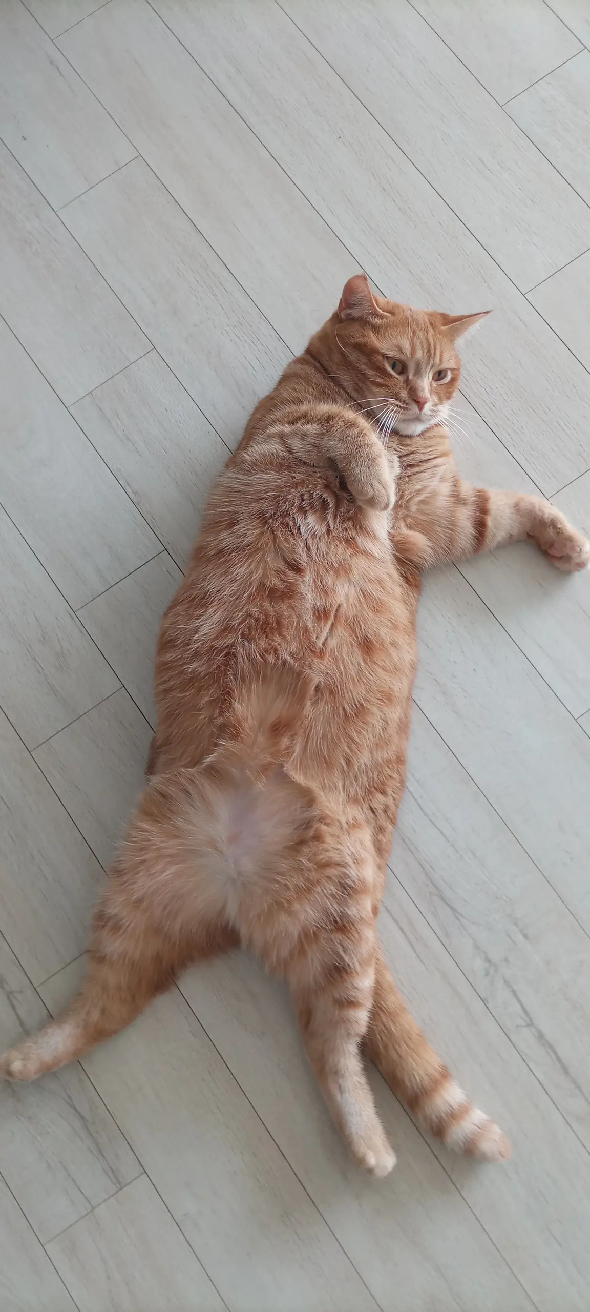 이미지 2