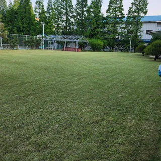 25년 05월 천안시 서북구 회사 잔디관리 작업