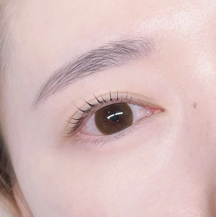 노글루 속눈썹펌 / 아라뷰티 - 숨고, 숨은고수 노글루 속눈썹펌 