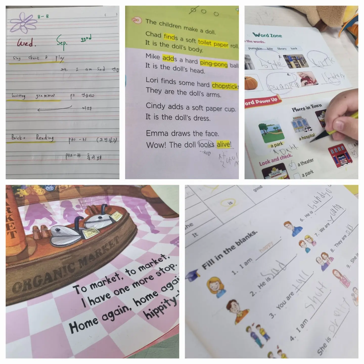 포트폴리오 이미지