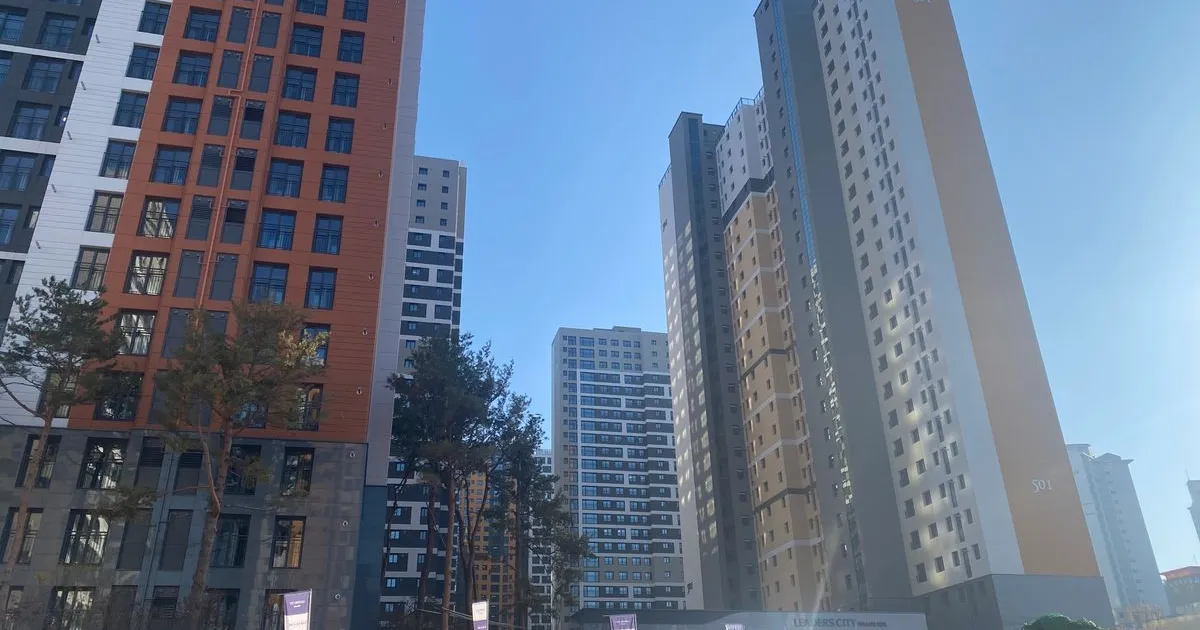대전 리더스시티 5bl 점검완료 / 찾아드림 - 숨고, 숨은고수 대전 리더스시티 5bl 점검완료