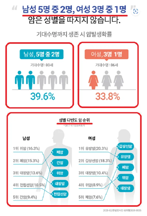 이미지 6