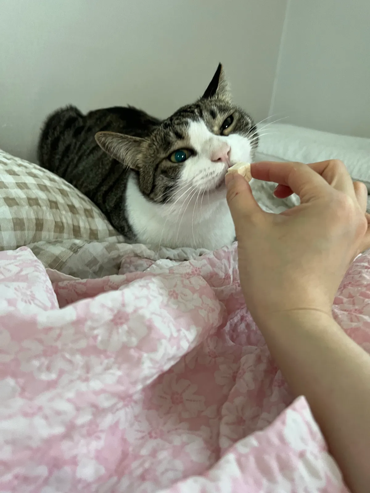 이미지 9