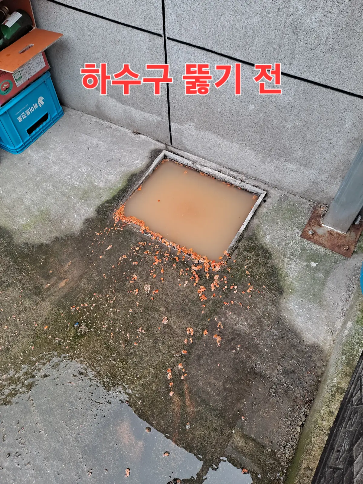 이미지 3
