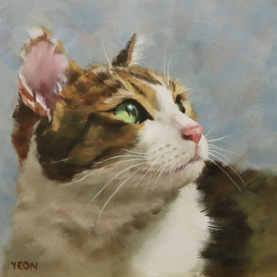 이미지 5