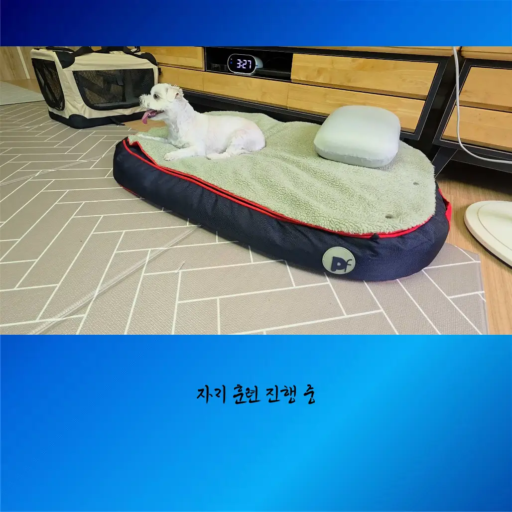 이미지 8