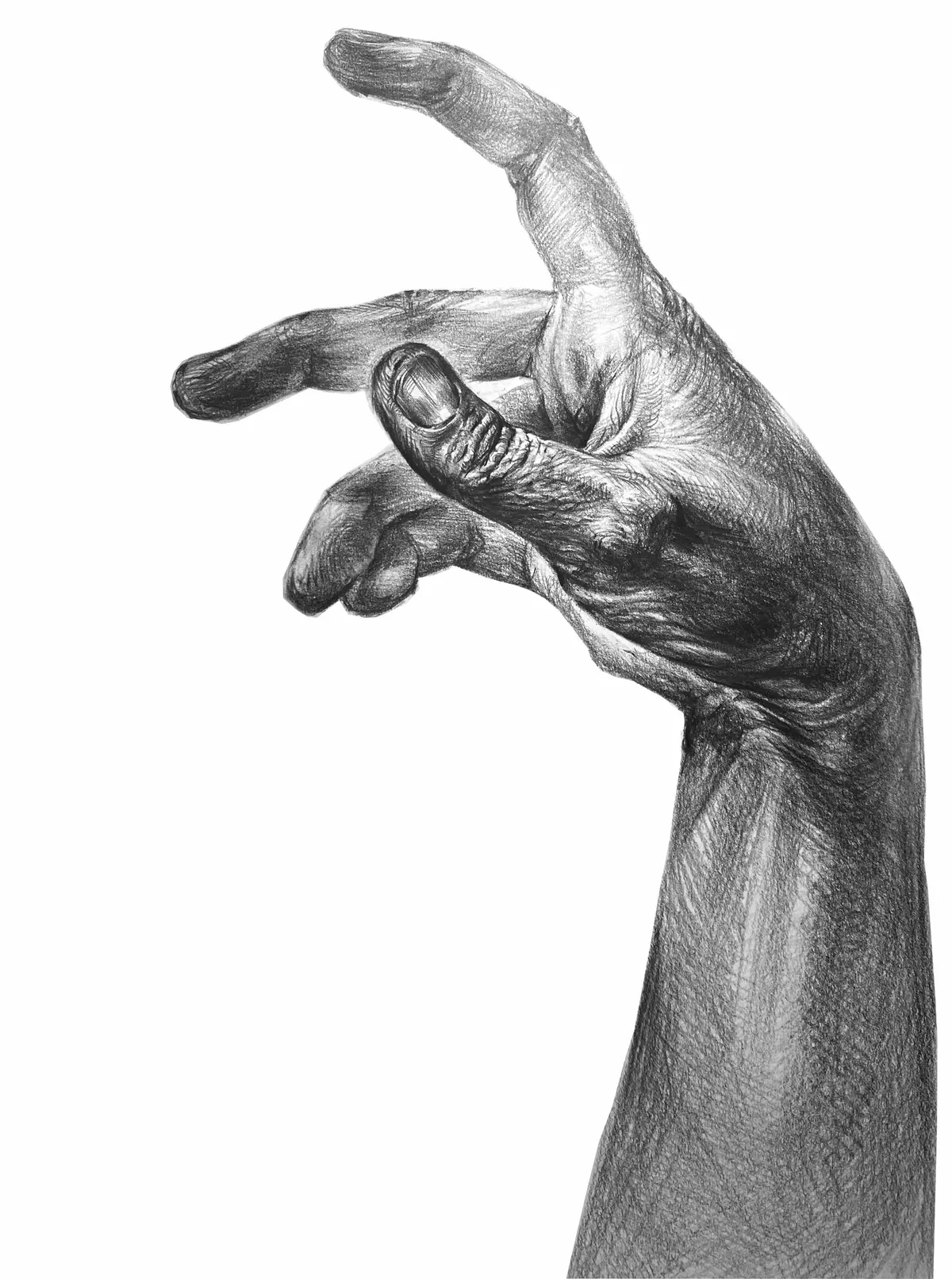 이미지 4