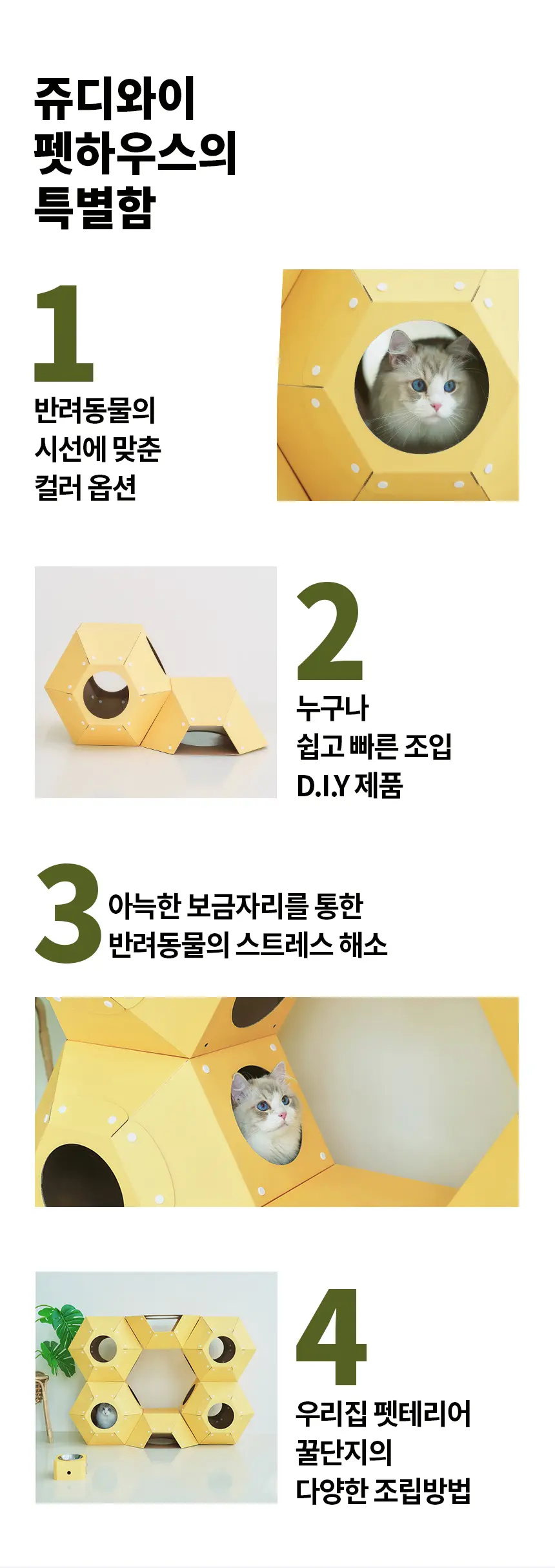 이미지 5