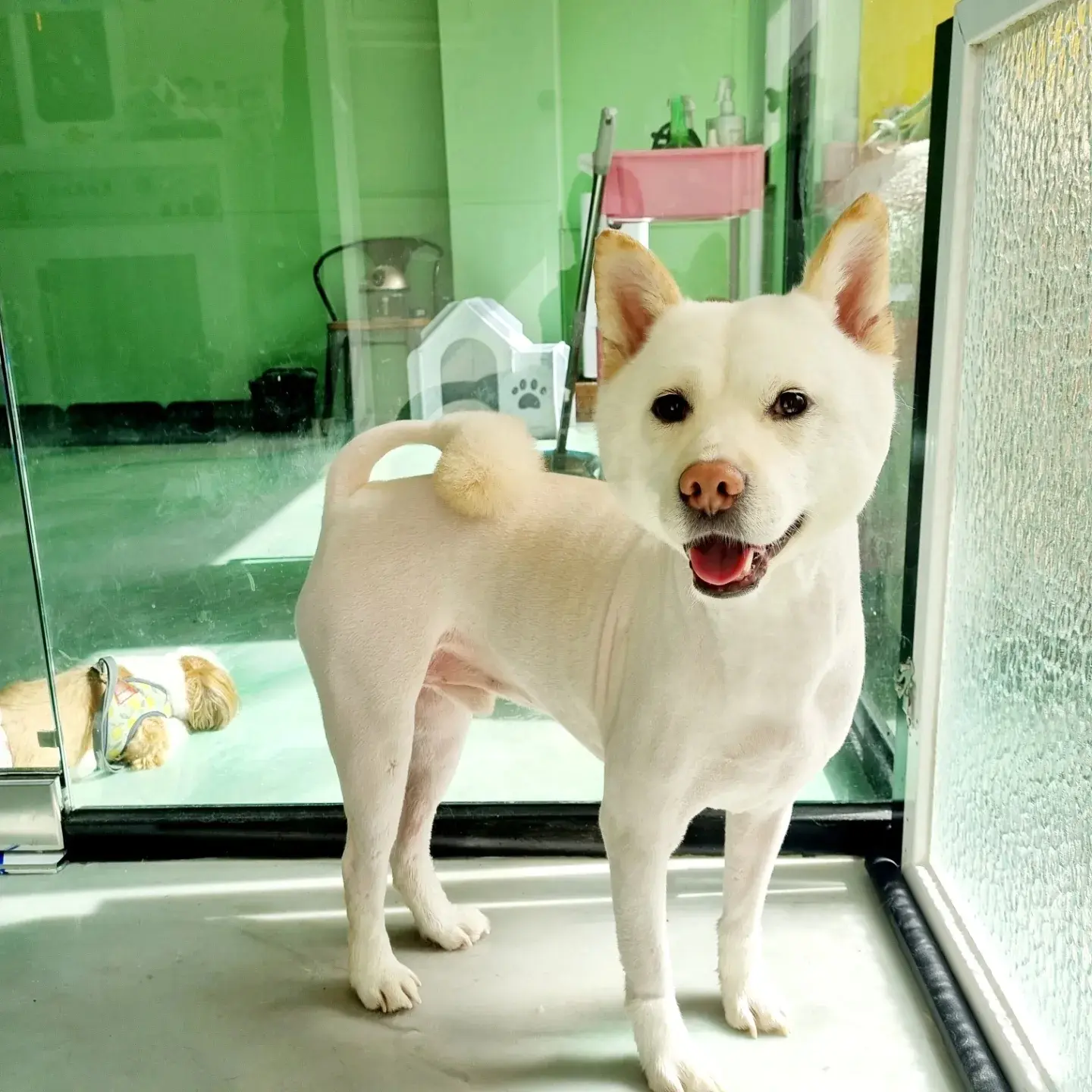이미지 6