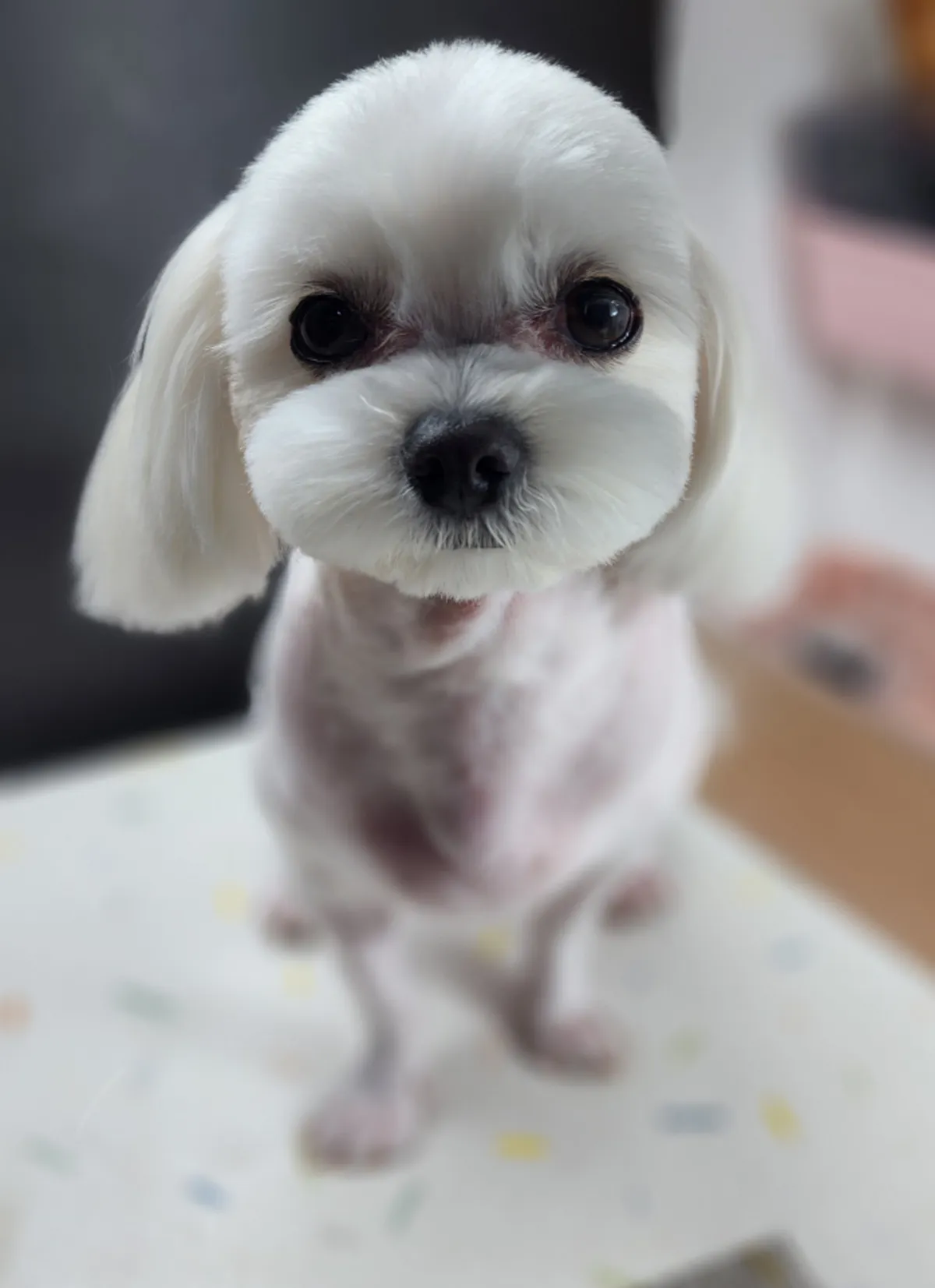 이미지 6