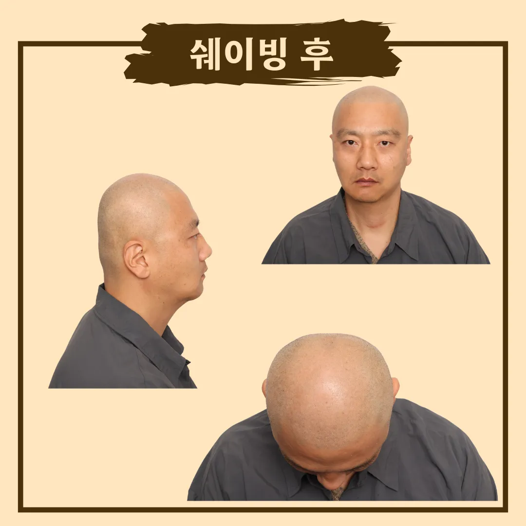 이미지 4