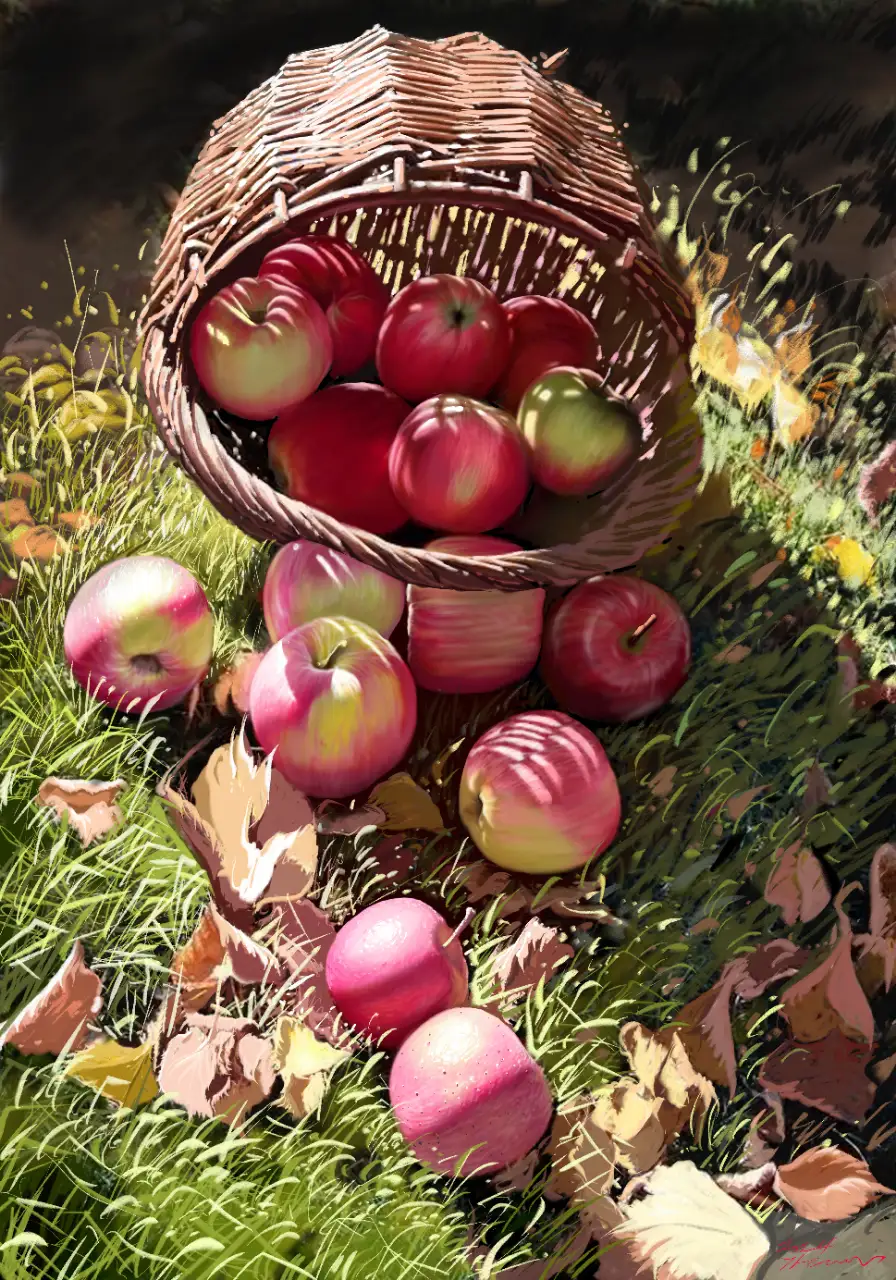 포트폴리오 이미지