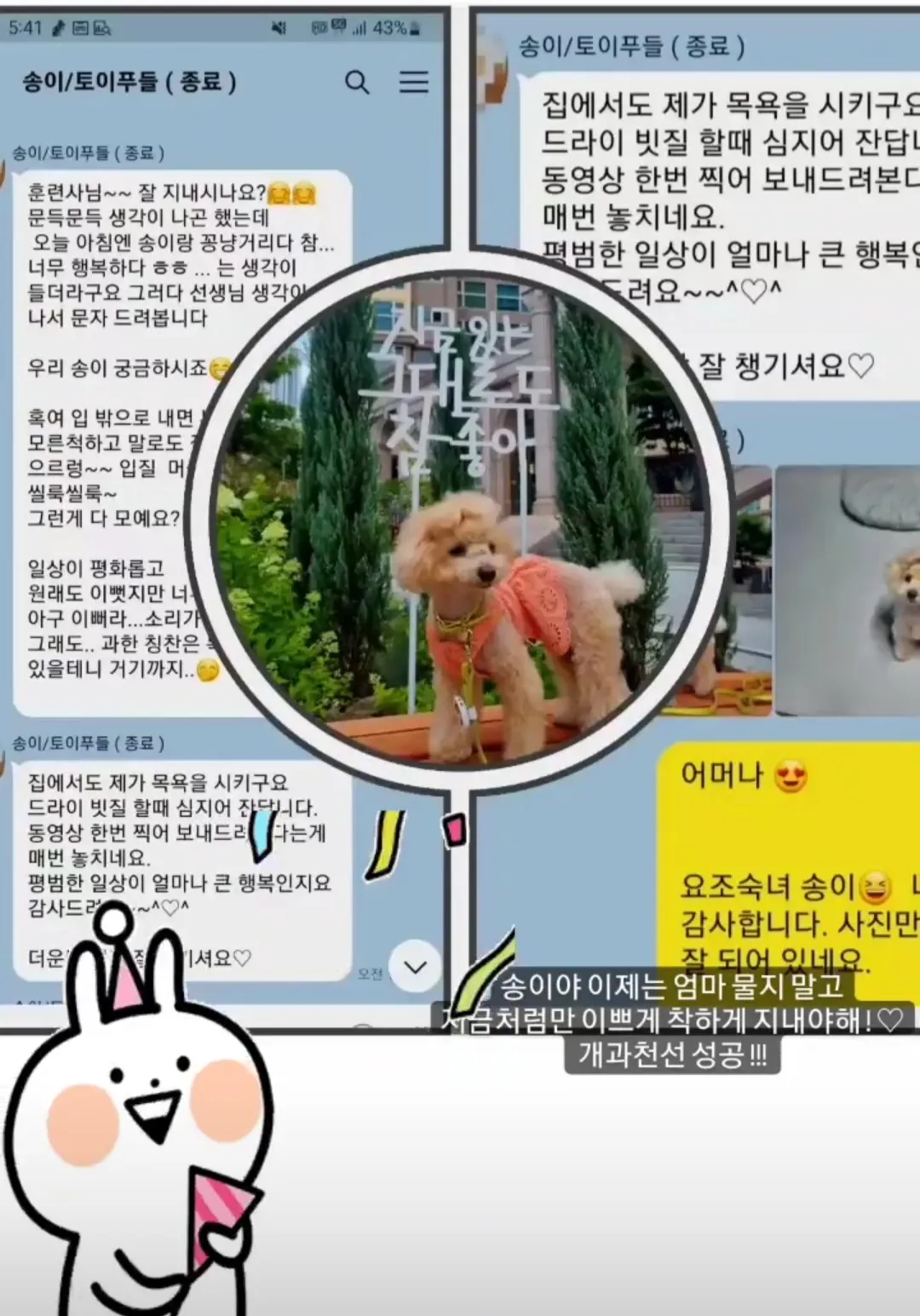 이미지 11