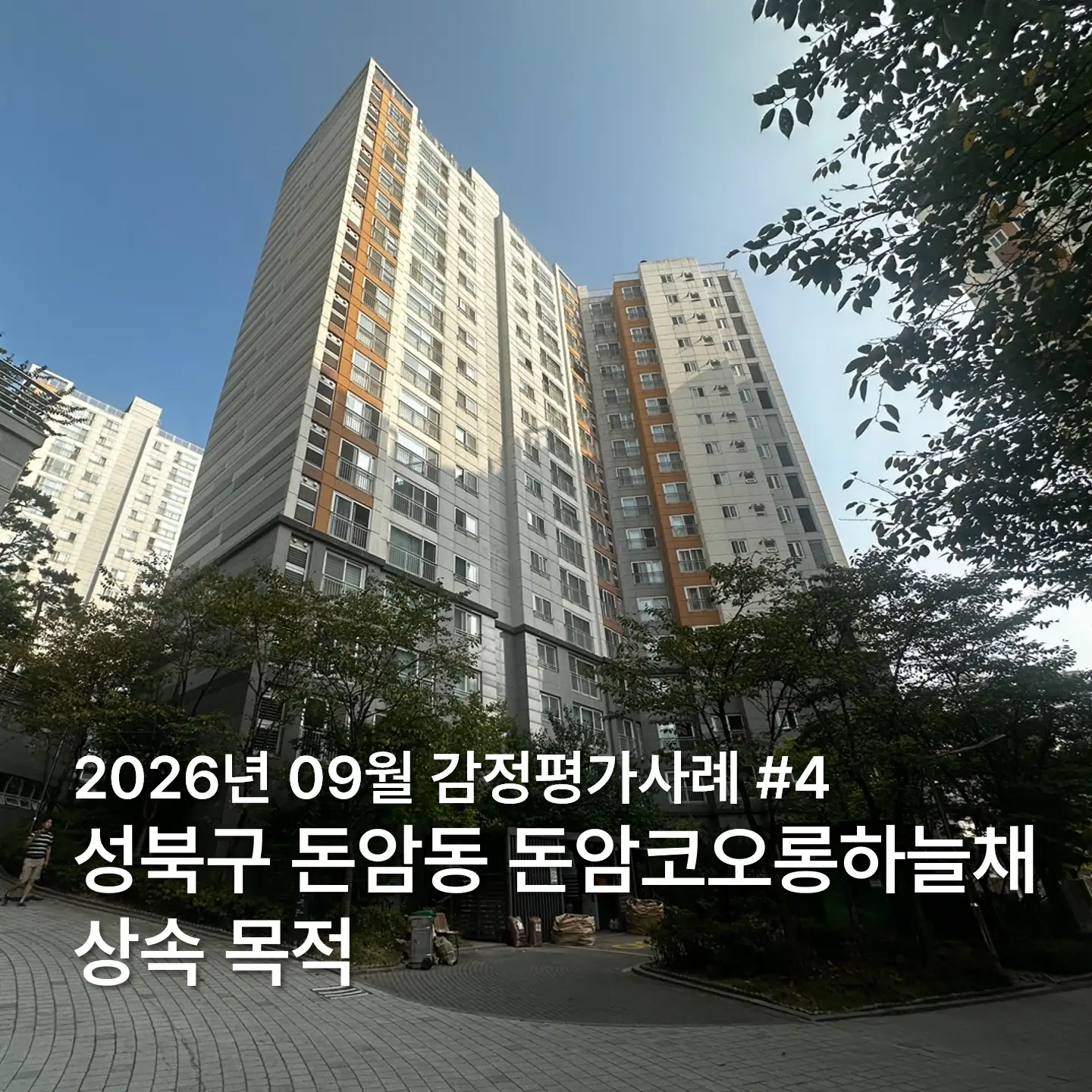 이미지 8