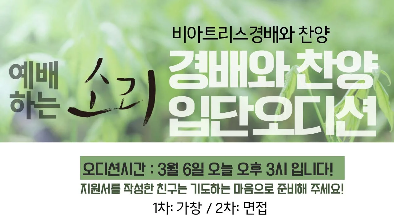 이미지 8