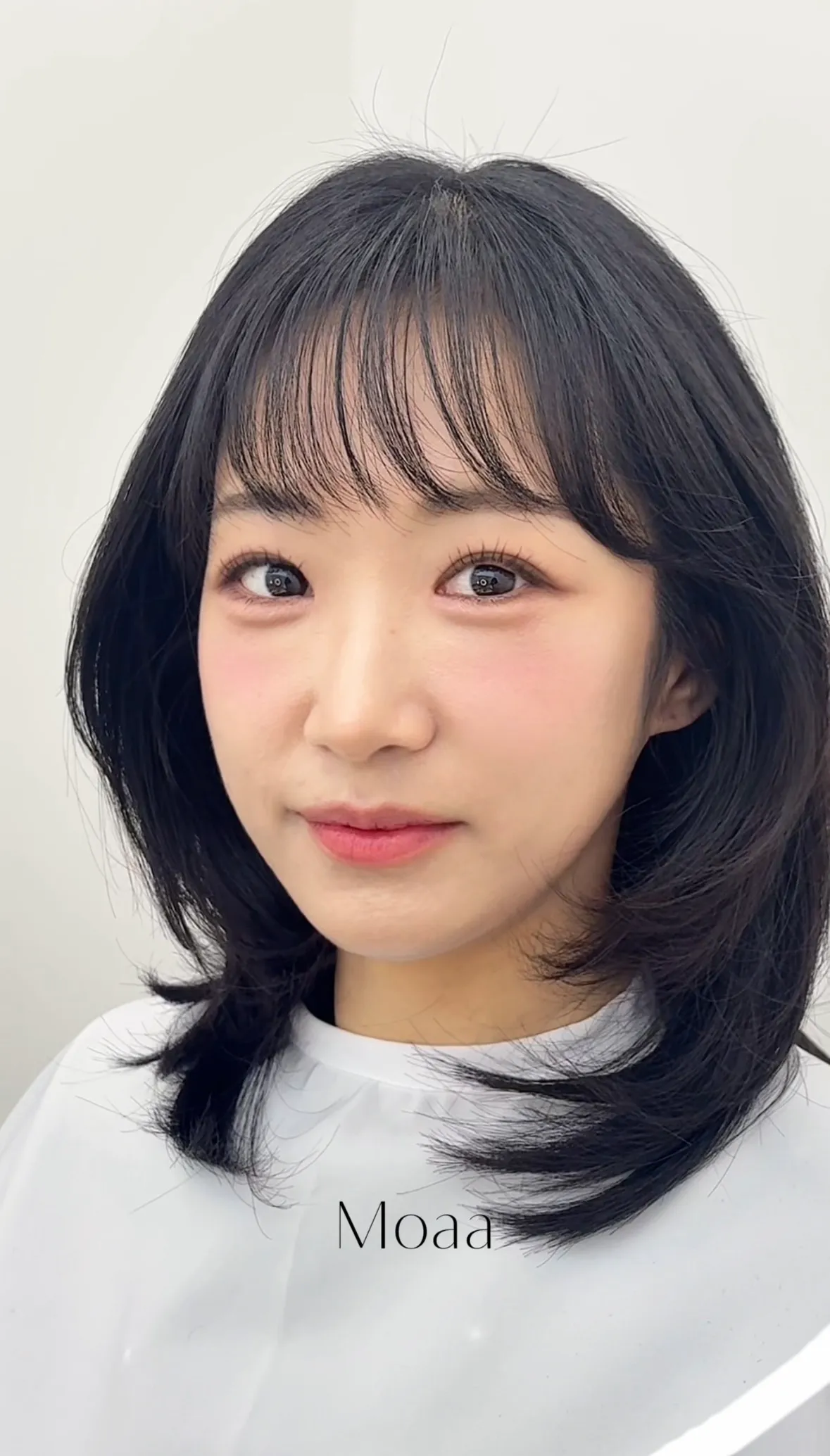 이미지 12