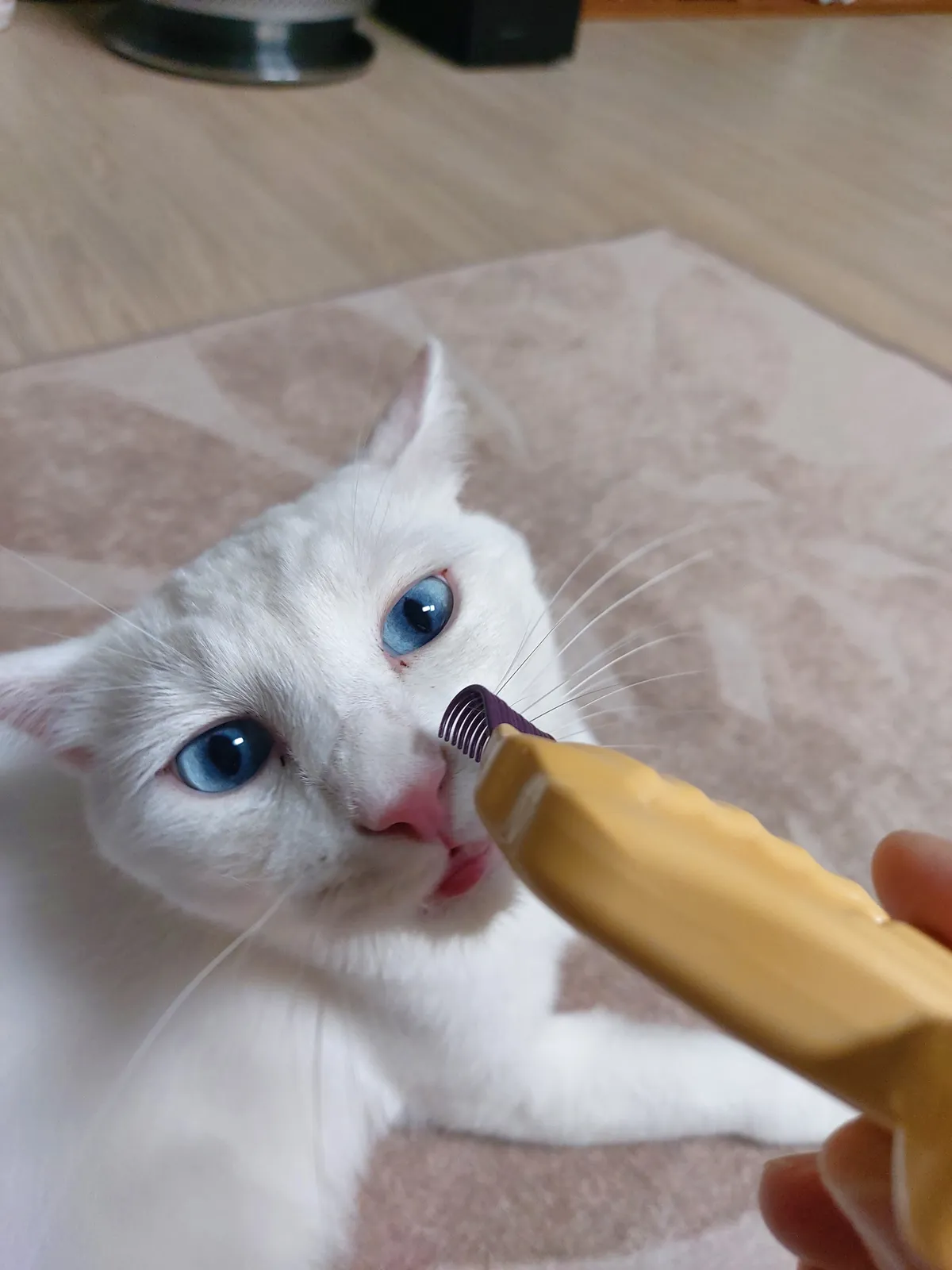 이미지 5