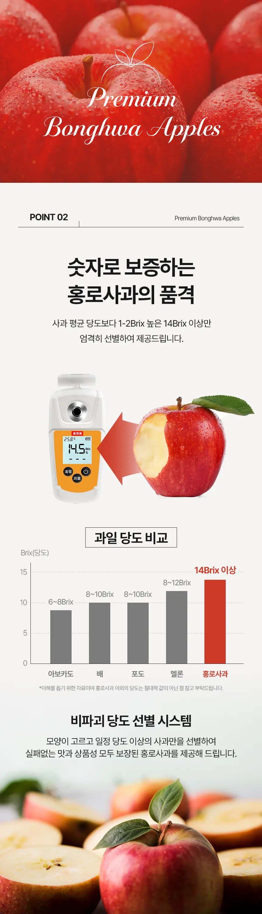 이미지 10