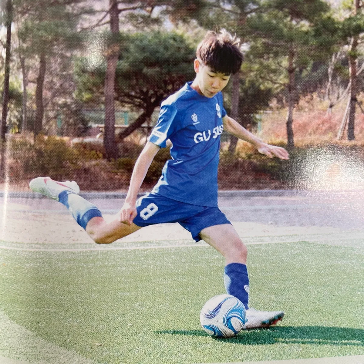 이미지 5