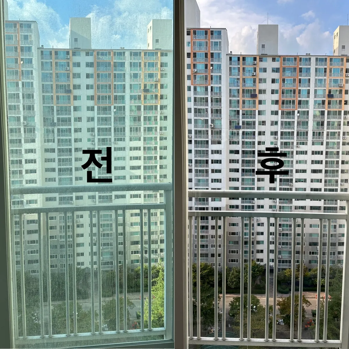 이미지 6