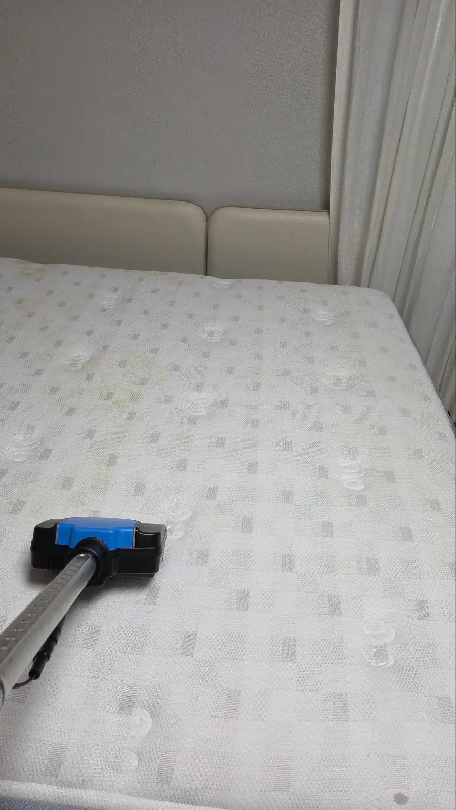 이미지 8