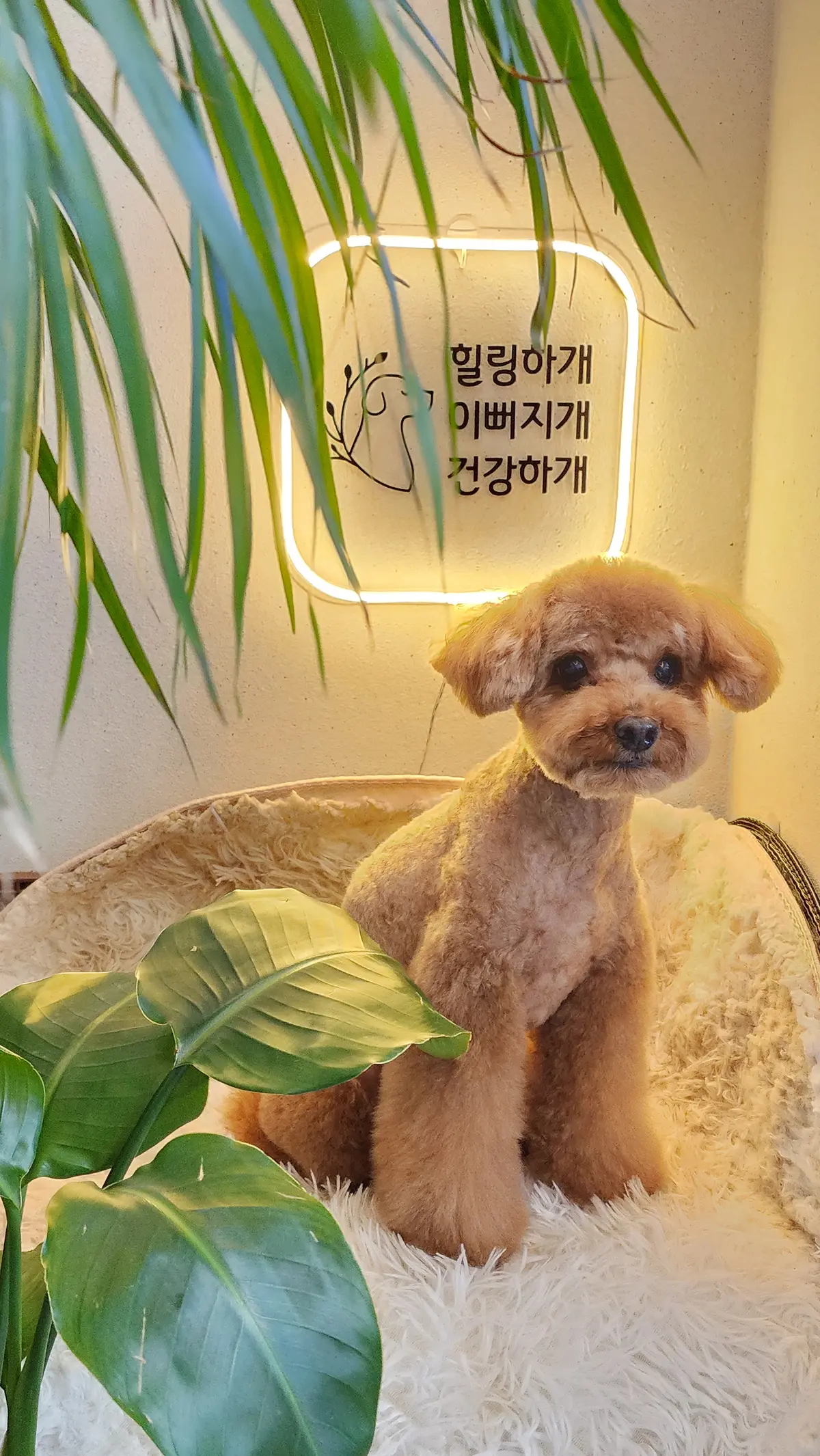 이미지 5