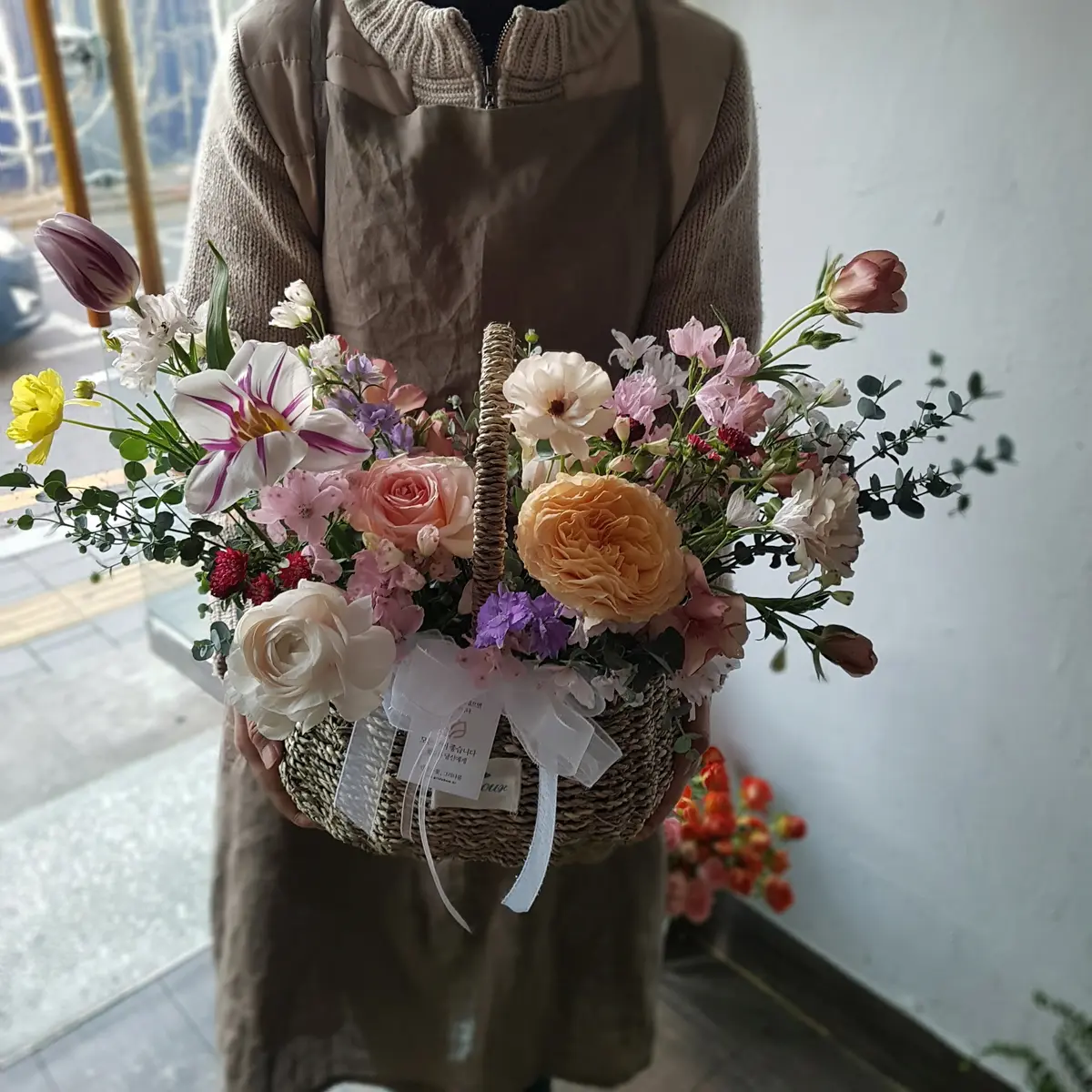 이미지 11