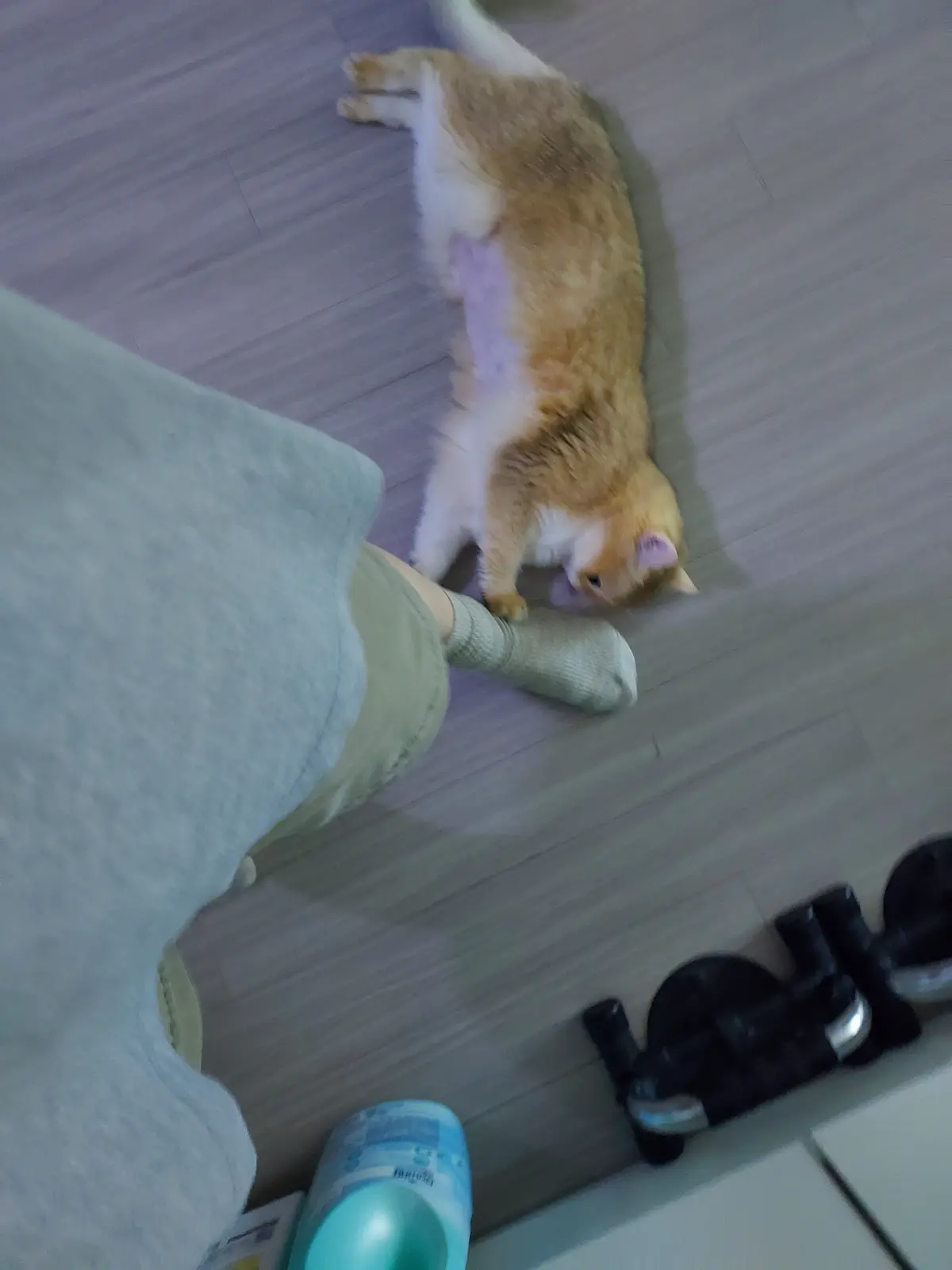 이미지 7