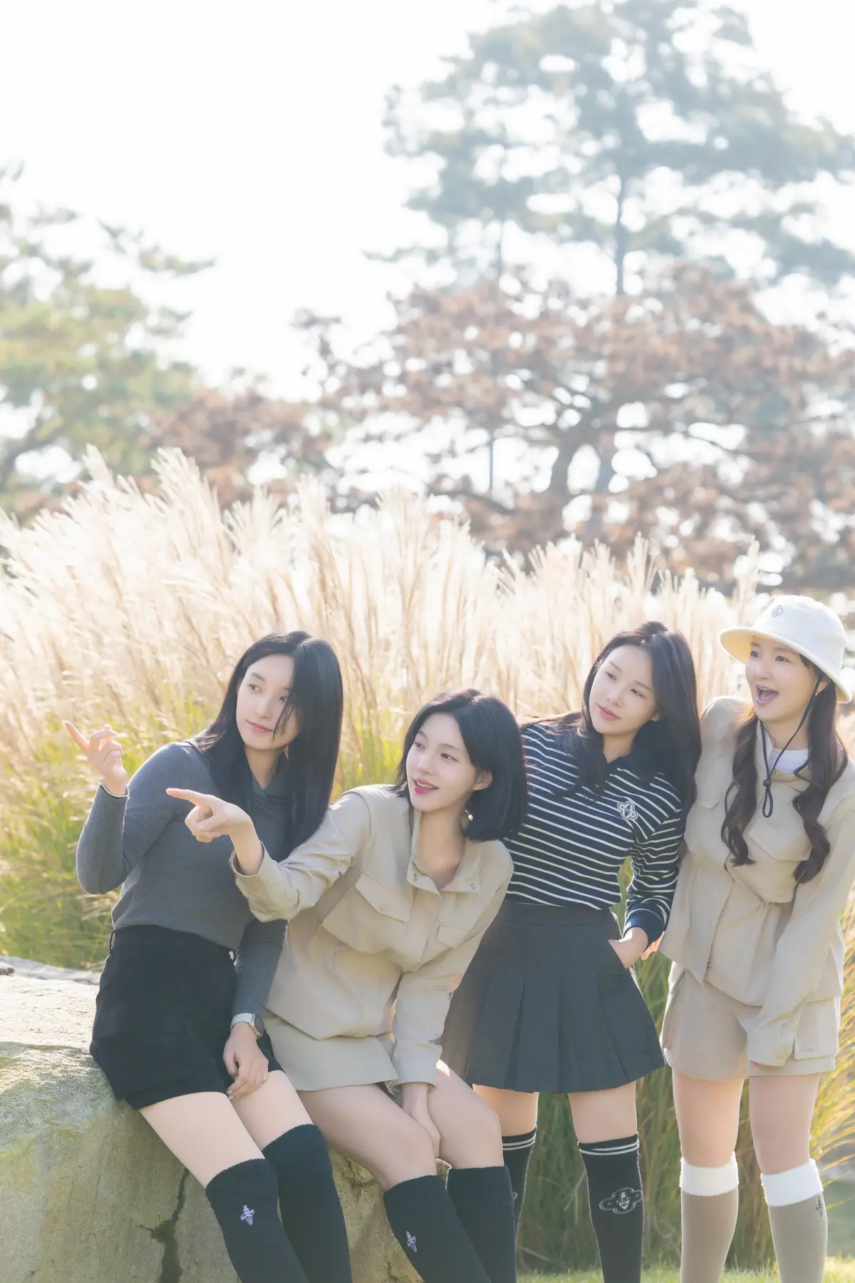 이미지 4