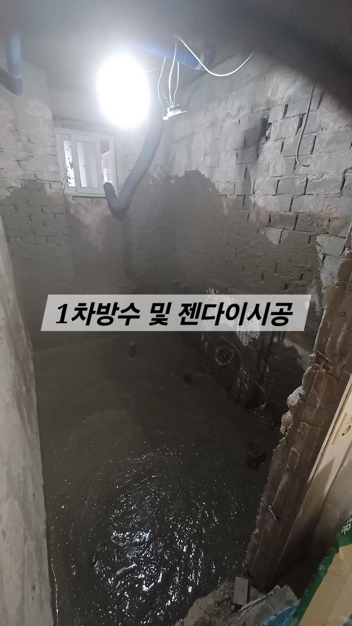 이미지 6