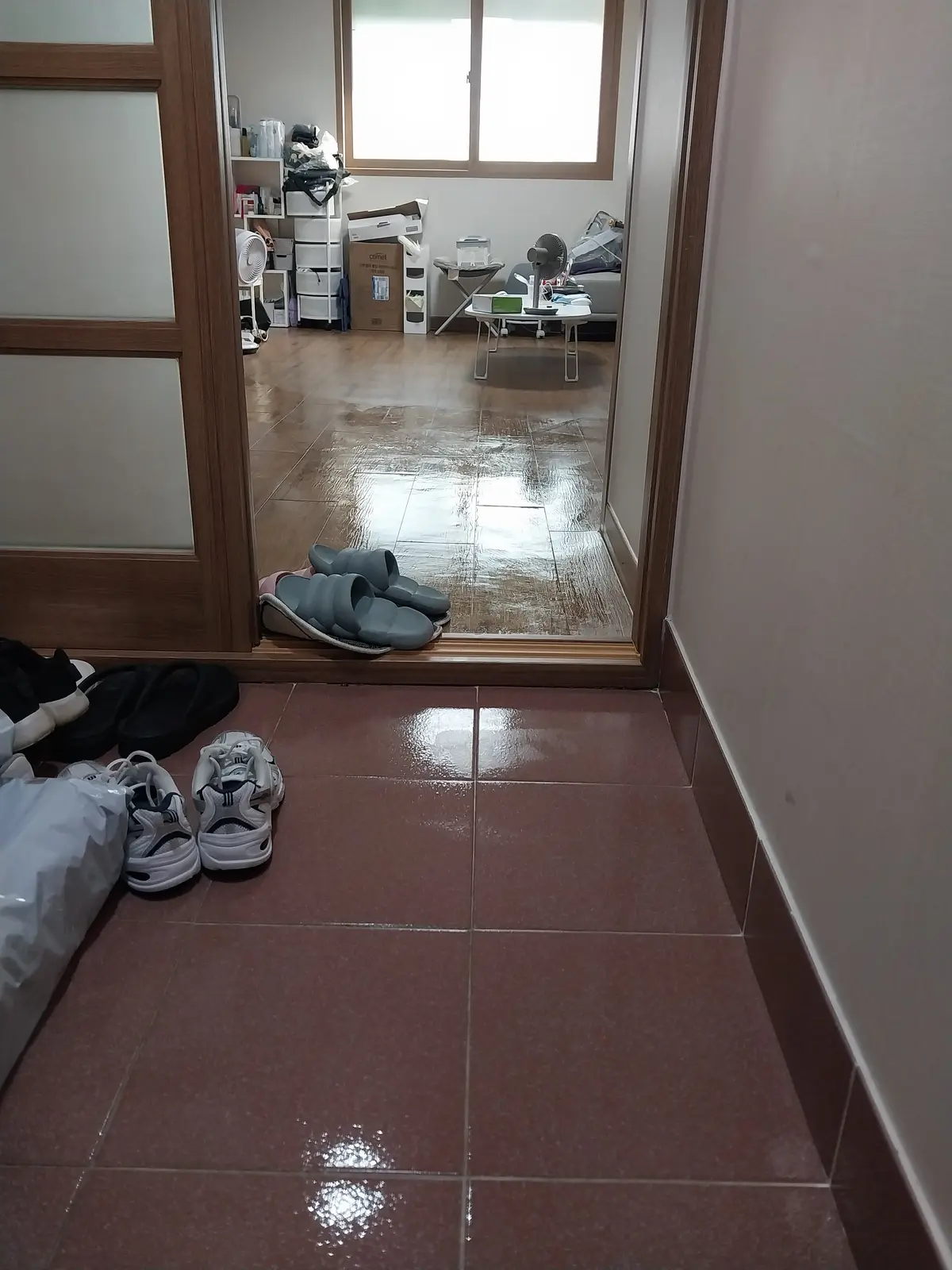 이미지 12