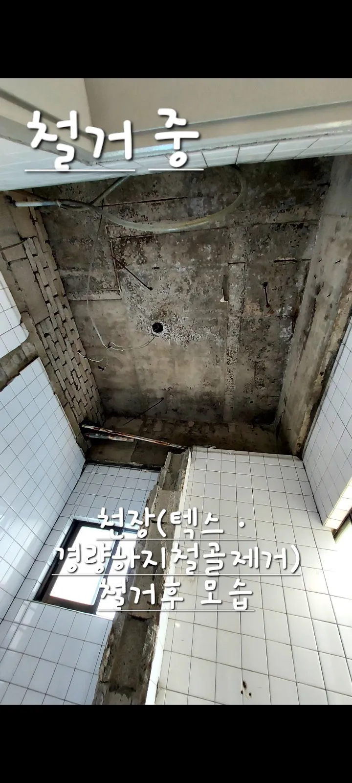 이미지 6