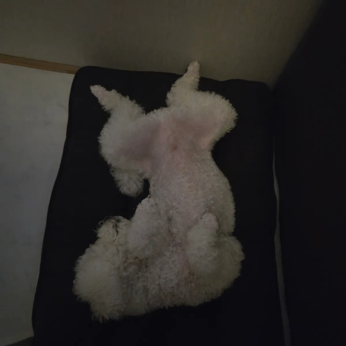 이미지 12