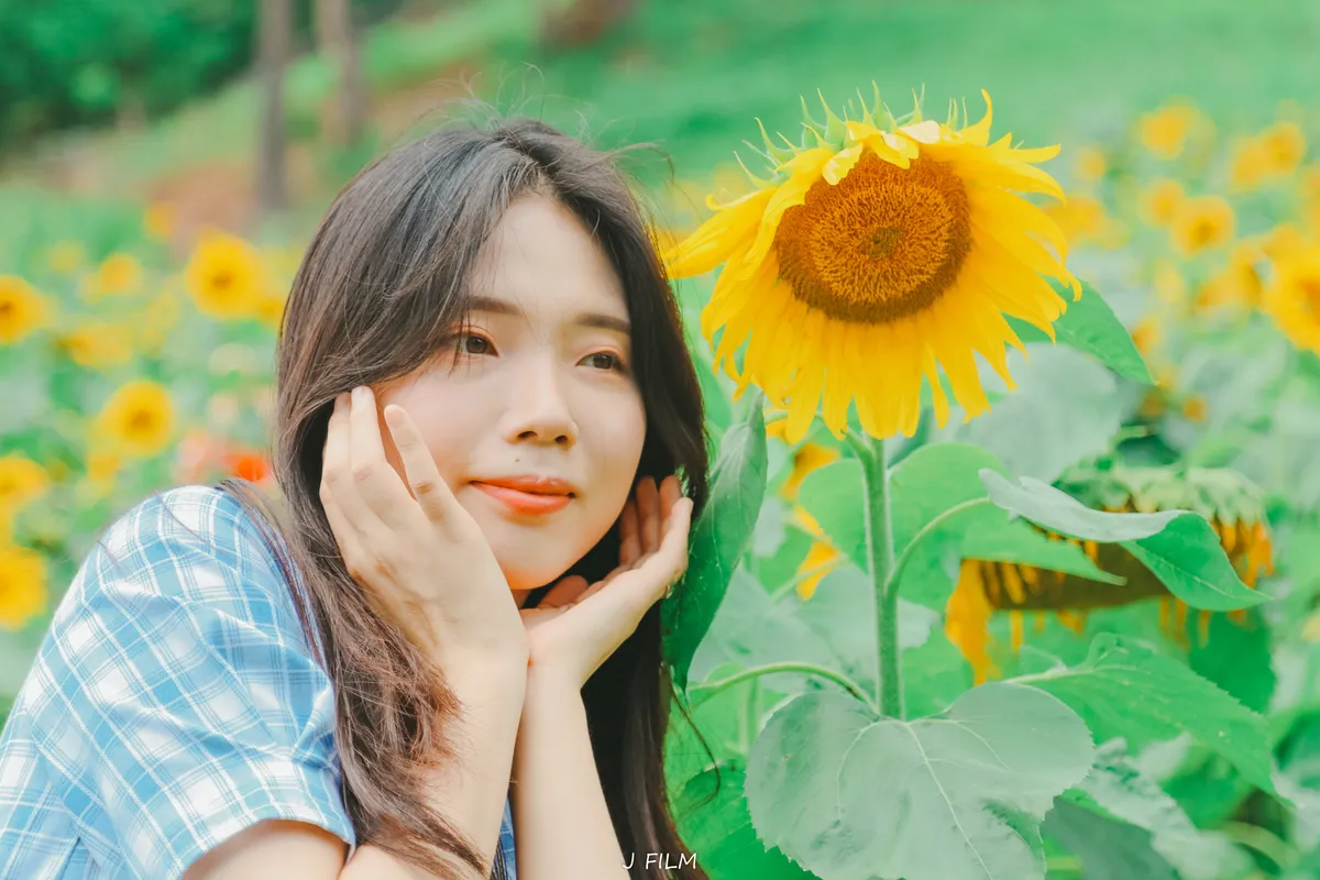이미지 7
