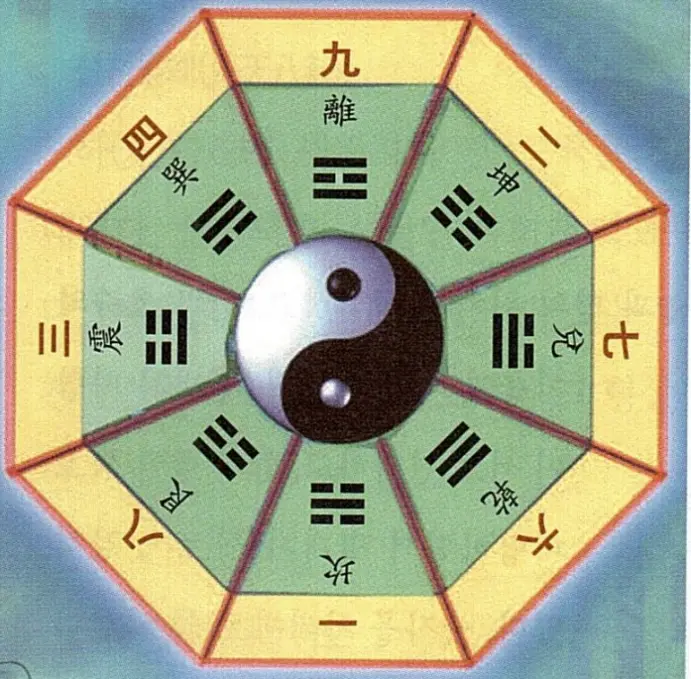 이미지 5