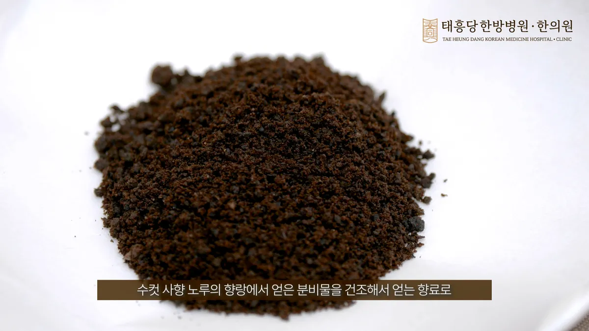 이미지 5