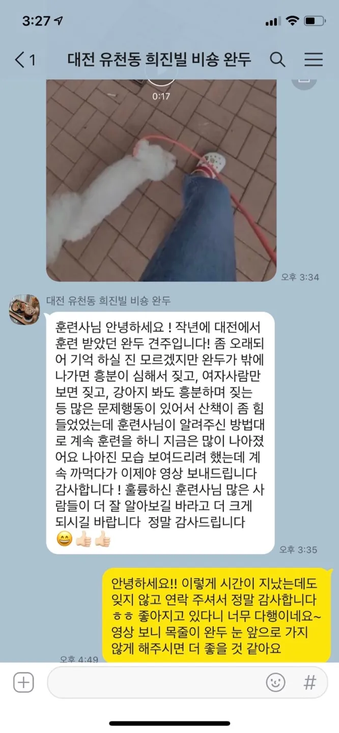 이미지 5