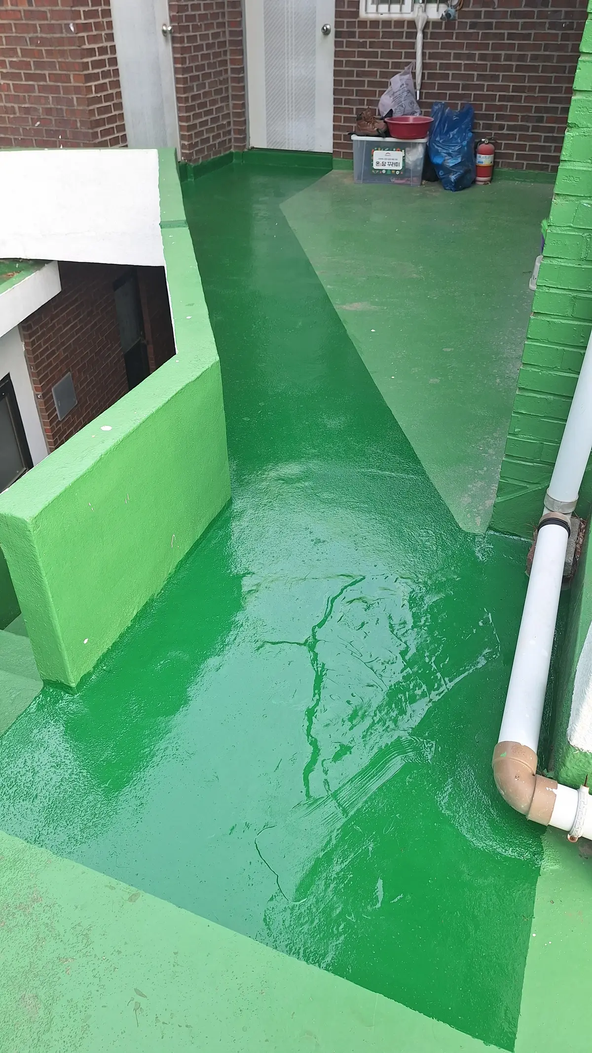 이미지 11