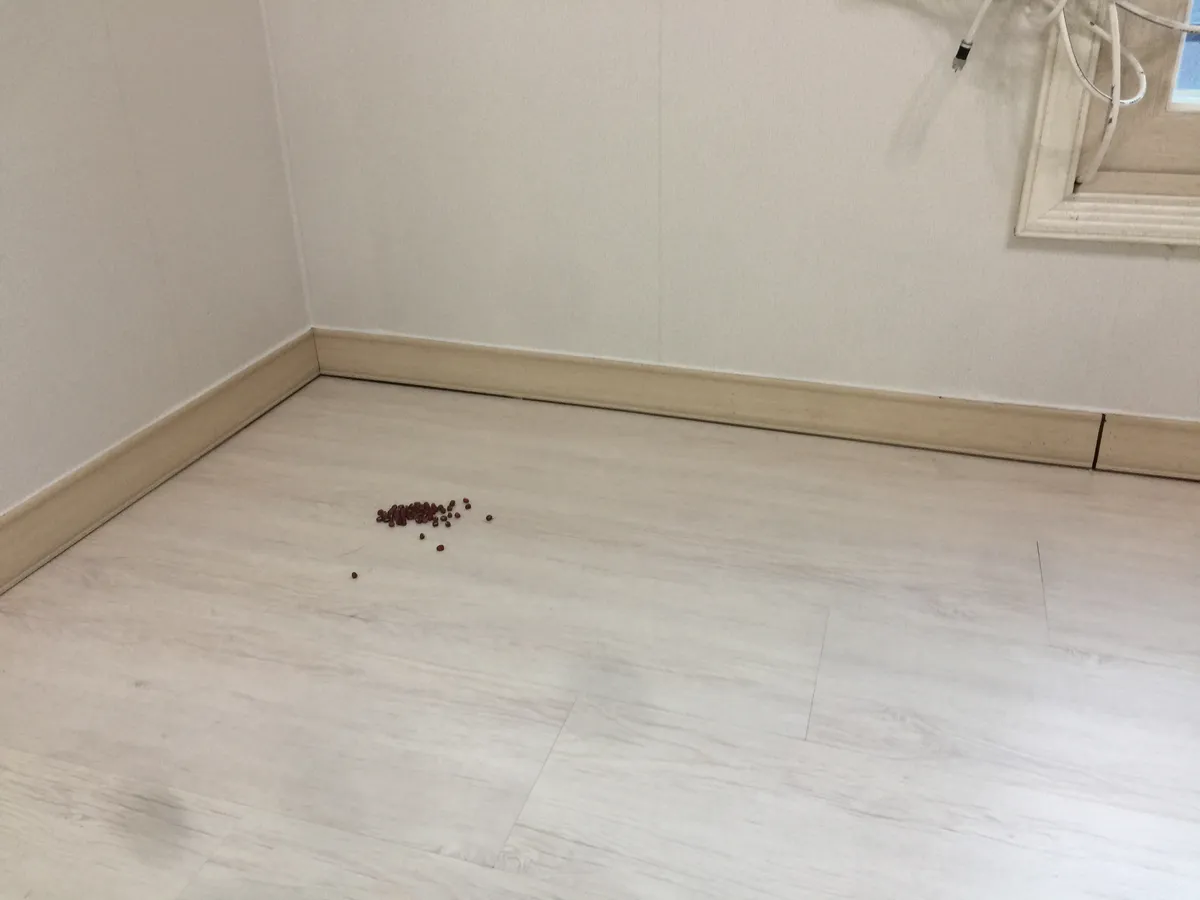 이미지 3