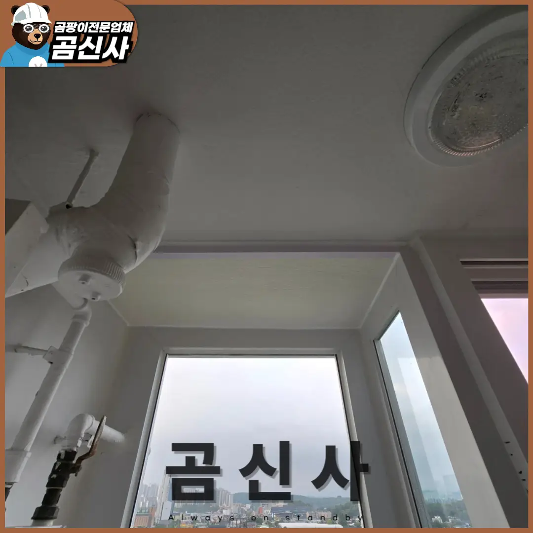 이미지 12