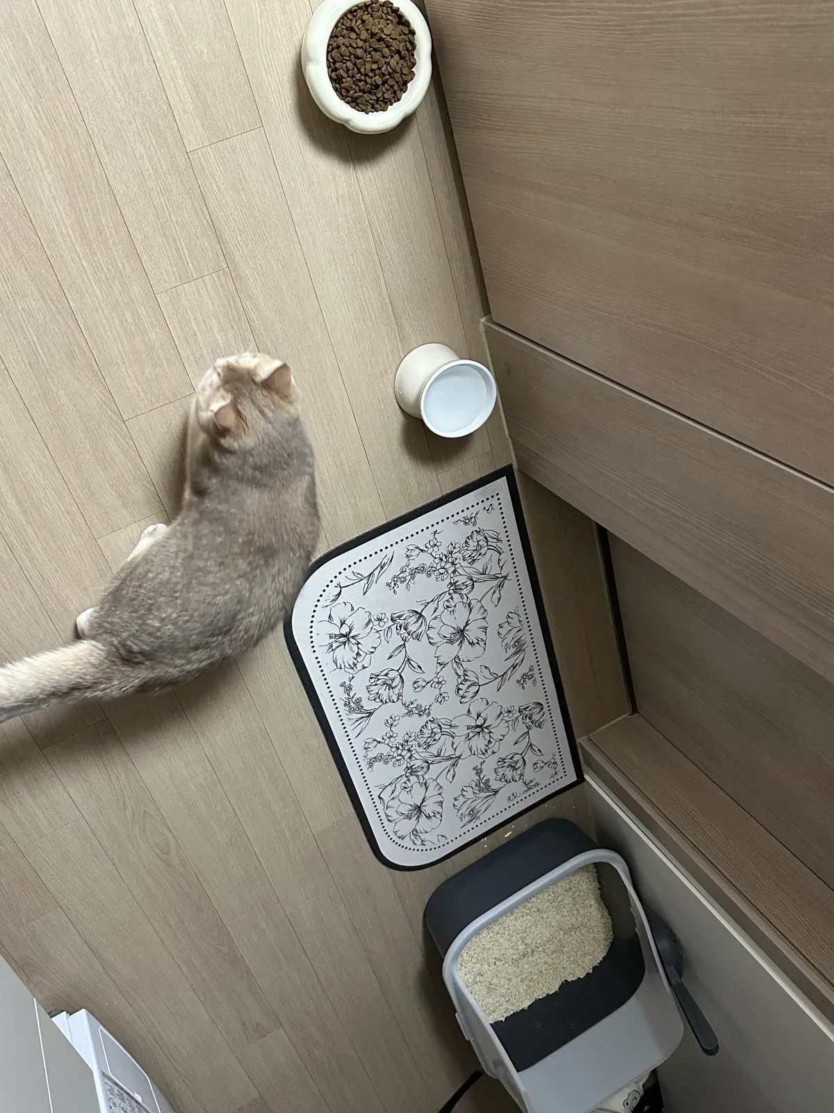 이미지 8